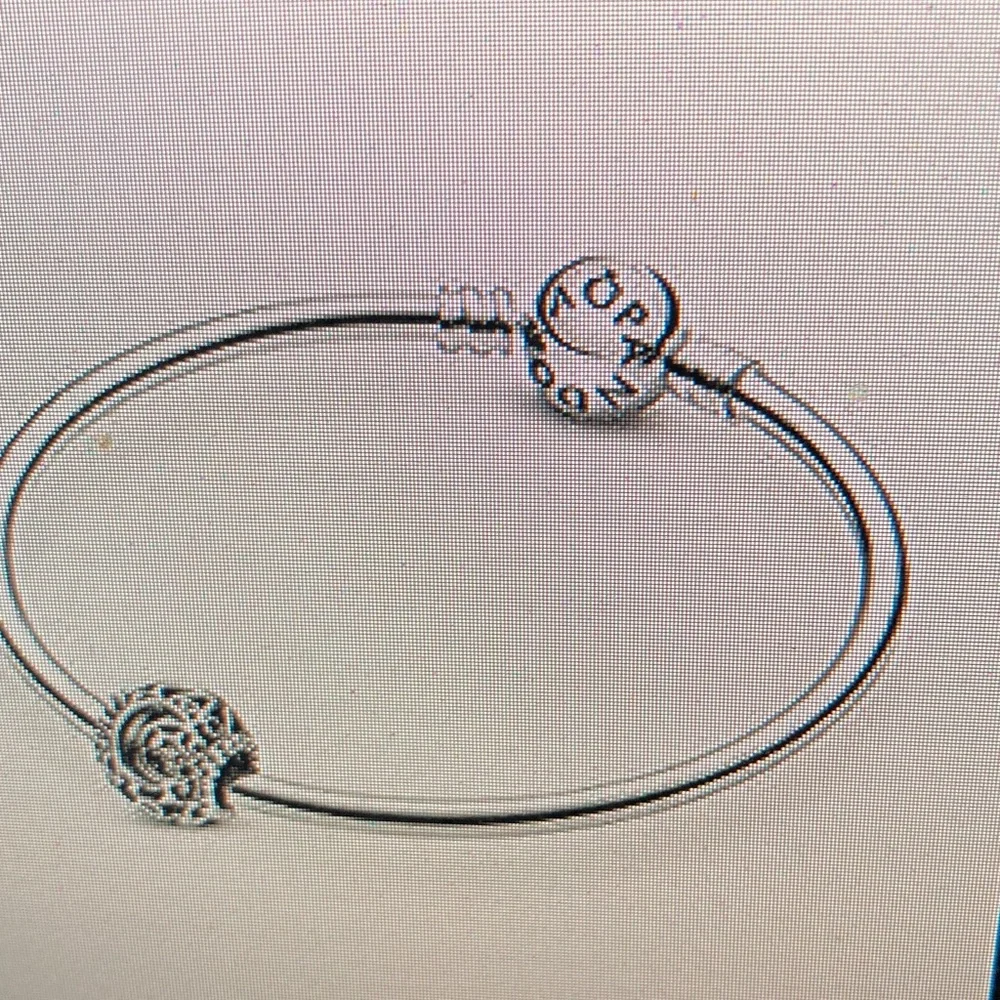 Pandora Silver Celestial Bracelet Charm